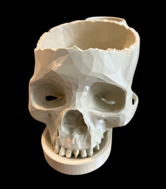 Skull Planter with Drip Saucer