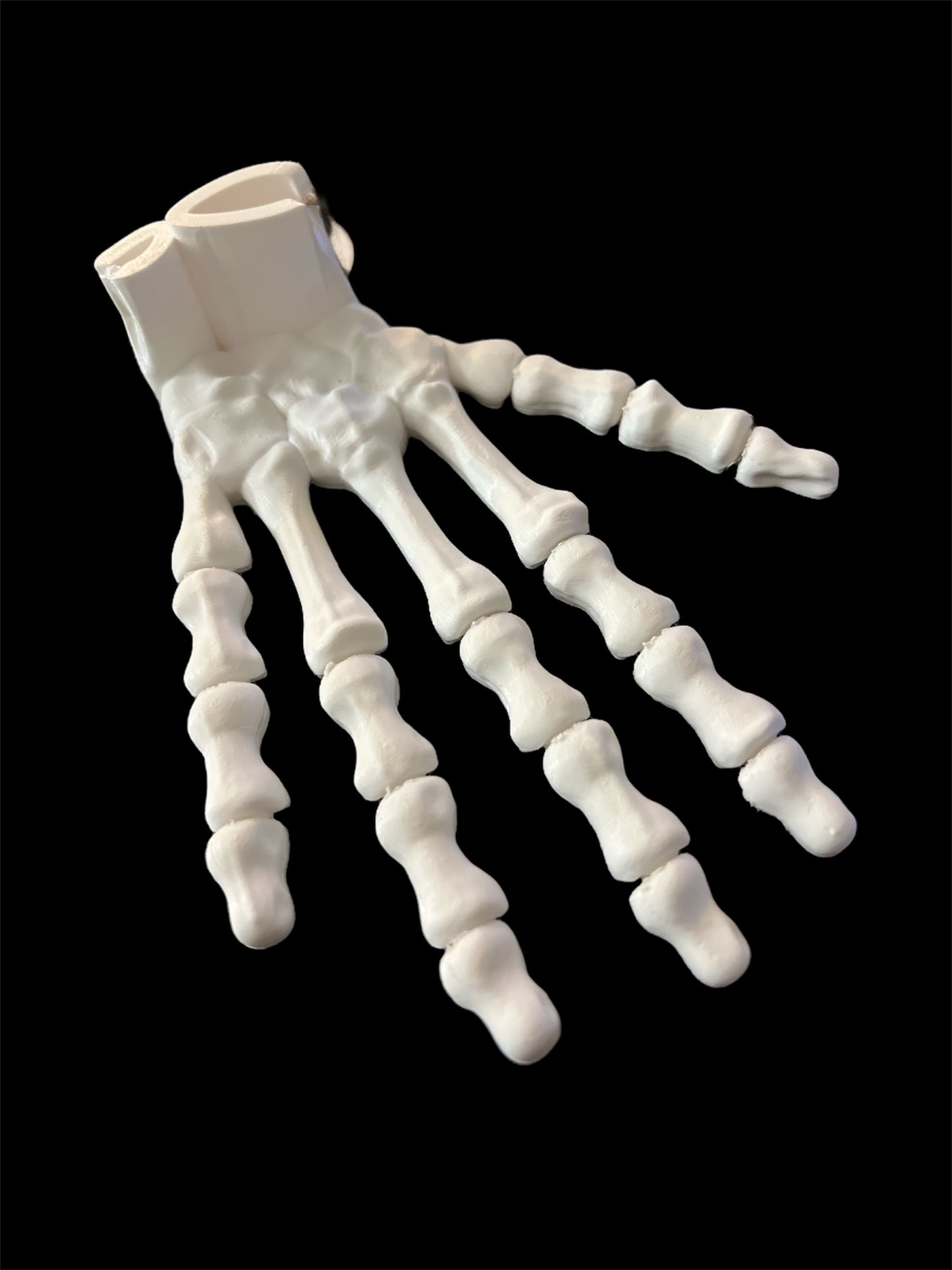 Articulated Skeleton Hand