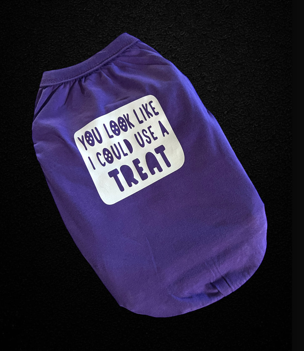 Medium Dog “You Look Like I Could Use A Treat” Tee in Purple